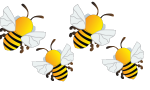 Four Bee Challenge